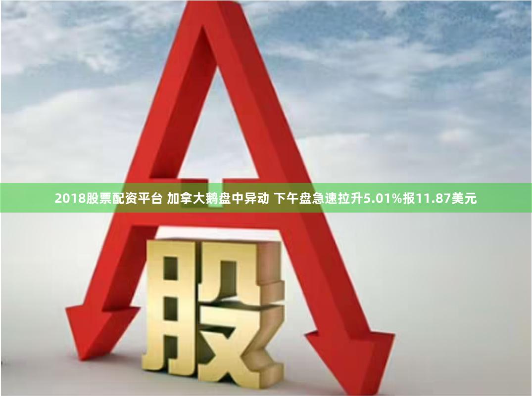 2018股票配资平台 加拿大鹅盘中异动 下午盘急速拉升5.01%报11.87美元