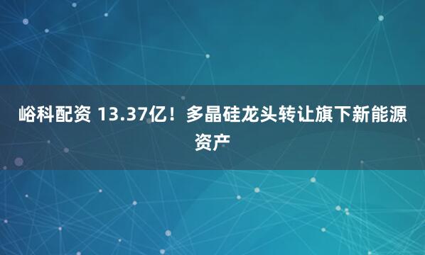 峪科配资 13.37亿！多晶硅龙头转让旗下新能源资产