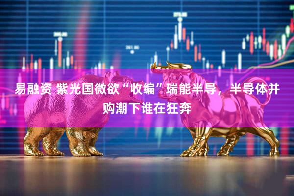 易融资 紫光国微欲“收编”瑞能半导，半导体并购潮下谁在狂奔