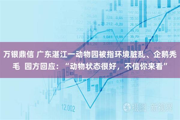 万银鼎信 广东湛江一动物园被指环境脏乱、企鹅秃毛  园方回应：“动物状态很好，不信你来看”