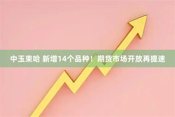中玉束哈 新增14个品种！期货市场开放再提速
